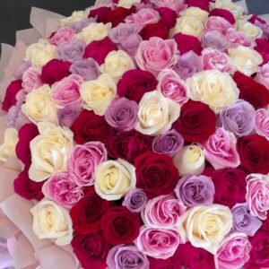 100  roses