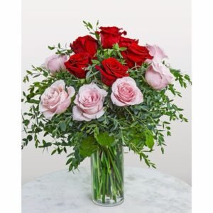 Pink and Red Roses
