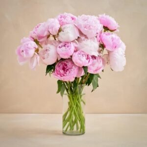 Peony love